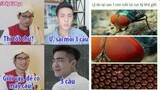 ảnh chế meme hài hước #3 || NTM AC