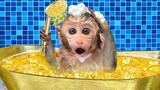 Monkey Baby Bon Bon Bon Bon eat fruit in the bathtub and naughty with puppy in the garden