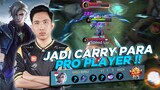 AAMON MIDLANER CARRY PRO PLAYER?! - Mobile Legends