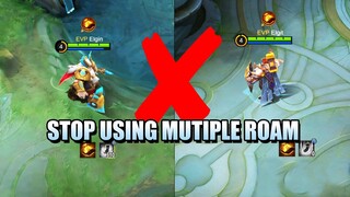 STOP USING MULTIPLE ROAM ITEMS - WHY THERE SHOULD ONLY BE ONE ROAM USER