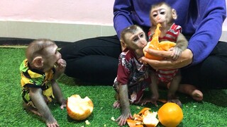 A lot of fruits for the three monkeys