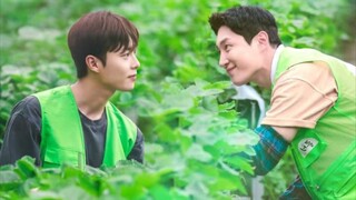 Love Tractor|Episode 2 English Sub|Best Korean BL