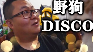 【孙笑川】野狗disco——孙笑川的自我修养（野狼disco）