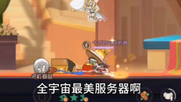 本世纪最美队友