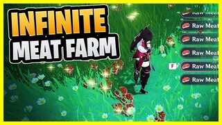 INFINITE Raw Meat Farm (DON'T TURN IN WORLD QUEST) | Genshin Impact