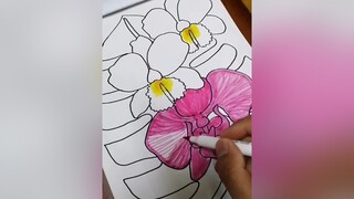 hoa lan đẹp tranhvehoa vehoalan drawingflowers drawingorchid drawingart drawing stayhomechallenge stayhomecovid19