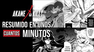 ◼️ El verdadero final de Akame Ga Kill (Manga) | Resumido en unos cuantos minutos