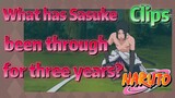 [NARUTO]  Clips |  What has Sasuke been through for three years?