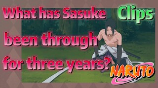 [NARUTO]  Clips |  What has Sasuke been through for three years?