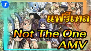 [แฟรี่เทล] Not The One [AMV]_1