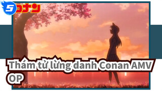 [Thám tử lừng danh Conan AMV] OP Tổng hợp_5