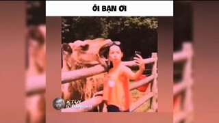 Ôi Bạn Ơi - KTLN #ktln