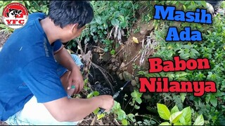 Mancing Ikan Mujair/Nila Di Selokan Ini Ada Babonnya