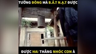 Tưởng bắt nạt mà dễ à  #videohaynhat