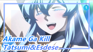 Akame Ga Kill|Tatsumi,Esdese, she really likes you. This smile is guarded by me!_1