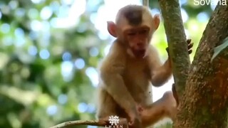 Moment ketika habis makan di saat jam istirahat dan masih banyak kerjaan..