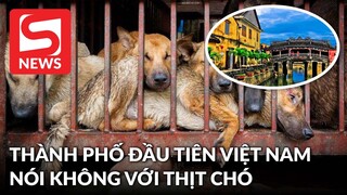 Thành phố đầu tiên của Việt Nam nói không với thịt chó