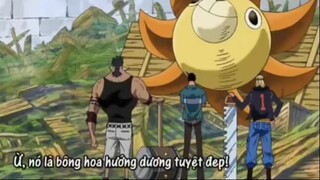 Khi mọi người đặt tên cho con tàu mới  #Onepiece