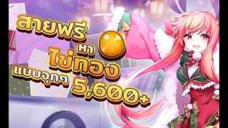 Samkok Moe สายฟรีเล่นยังไงให้ได้ 5600 ไข่วันแรก และเทคนิคการเล่น!