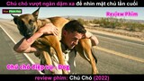 anh chủ Động Kinh và Chú chó Sang Chấn Tâm lý - review phim Chú Chó