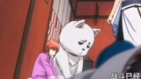 [Gintama] Gintoki and Hijikata soul exchange