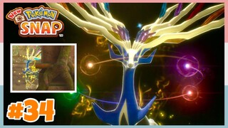 Lv. 1 Illumina Pokemon Xerneas Boss Battle Completed | New Pokemon Snap - Part 34 (No Commentary)