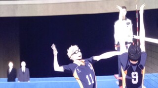 spoiler haikyu the dumpster dikit