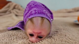 Oh, Really!! Wow, Tiny adorable Luca looks like the worm while waiting for Mom to feeds the milk