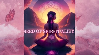 Seed of spirituality | A Brief Meditation Journey for Beginners