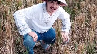 welcome to rice field mother father