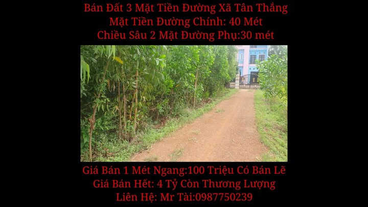Bán Đất Tân Thắng,Hàm Tân,Bình Thuận