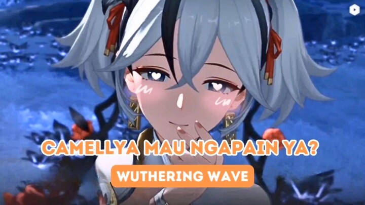 CAMELLYA MAU NGAPAIN YA? || Wuthering Wave