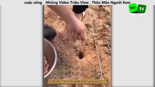 cuộc sống _ Những Video Triệu View , Thõa Mãn Người Xem p6