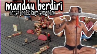 M4NDAU & T4NGKIN DAYAK BERDIRI, CARA TERADISI SUKU DAYAK, MENDIRIKAN MANDAU MILIKNYA