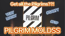 CRAZY PILGRIM MOLDS OPENING! F2P NIKKE New Year End Festival #2023NikkeYearEndFest