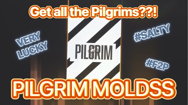 CRAZY PILGRIM MOLDS OPENING! F2P NIKKE New Year End Festival #2023NikkeYearEndFest