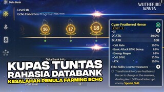 Kesalahan Newbie Saat Farming Echo B5 - Waktu Yang Tepat Farming Echo + CARA CEPAT NAIK Databank 20