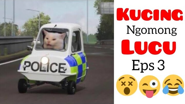 Kucing lucu bikin ngakak|video lucu kucing ngomong #3