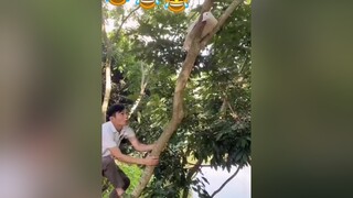 😂😂😂xuhuongtiktok❤️🙆‍♀️ xuhuong tiktok hàihướcvuinhộn haihuoc cuoibebung cườikhôngnhặtđượcmồm