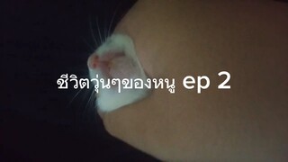 ชีวิตวุ่นๆของหนู ep 2