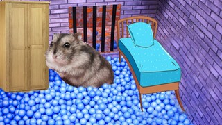 🐹 Hamster escaped from prison and made it home 🐹 in Hamster Stories