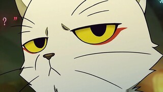 [Dali Temple Season 2] Chen Shi knows how to tease cats