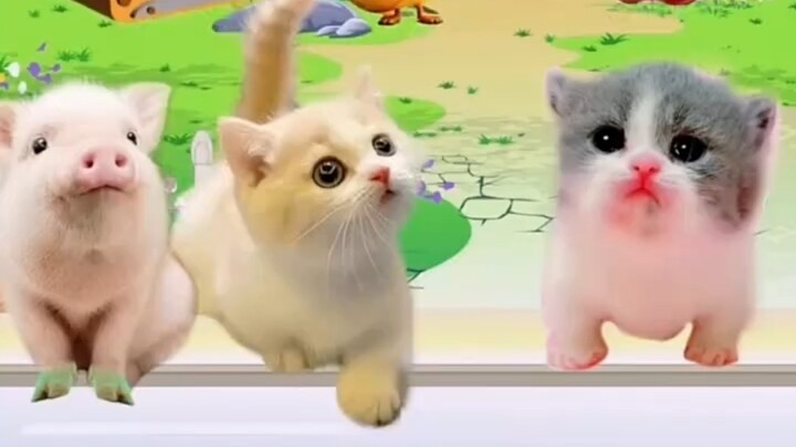I want to give the kitten something delicious.