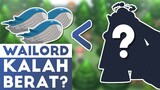 Ep 03 - 10 POKEMON TERBERAT, Ada yang Lebih Berat dari 3 Wailord!! - Pokemon Indonesia