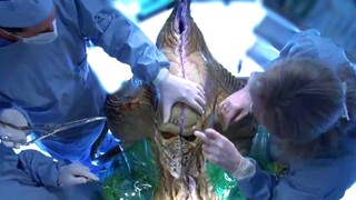 Alien Creatures Arrive on Earth to Enslave the Human Race