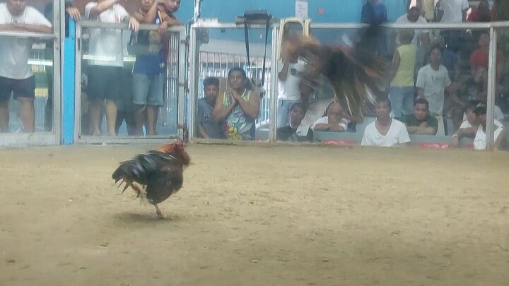 1st fight win bulag ang laki pa kalaban (old marilao)