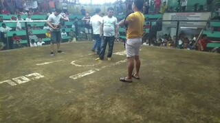 2nd fight 2hits