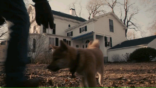 Hachi: A Dog's Tale (2009)