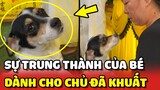 Cảm động với SỰ TRUNG THÀNH của bé chó dành cho người chủ ĐÃ KHUẤT 😢 | Yêu Lu
