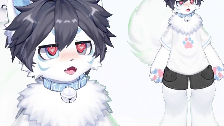 【Live2d model display】furry|Who can resist the cute little white wolf?